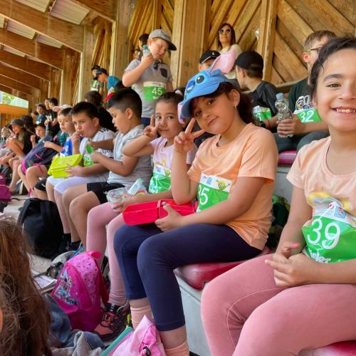 Leichtathletik Grand Prix 2024 8
