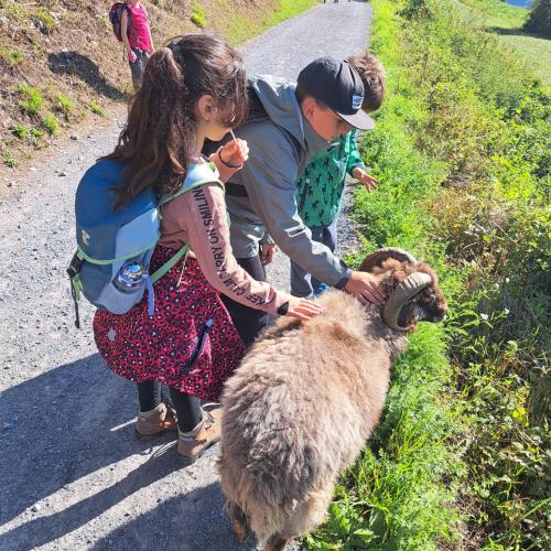 Wandertag 24.25 anfang 13
