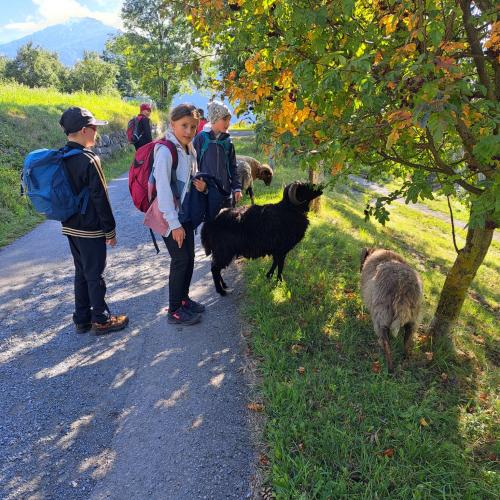 Wandertag 24.25 anfang 10