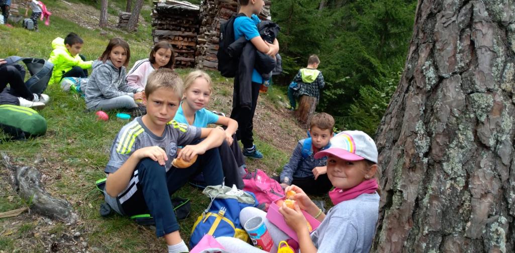 01ae81cd-6c01-45b0-9a30-786dcd74b0a9