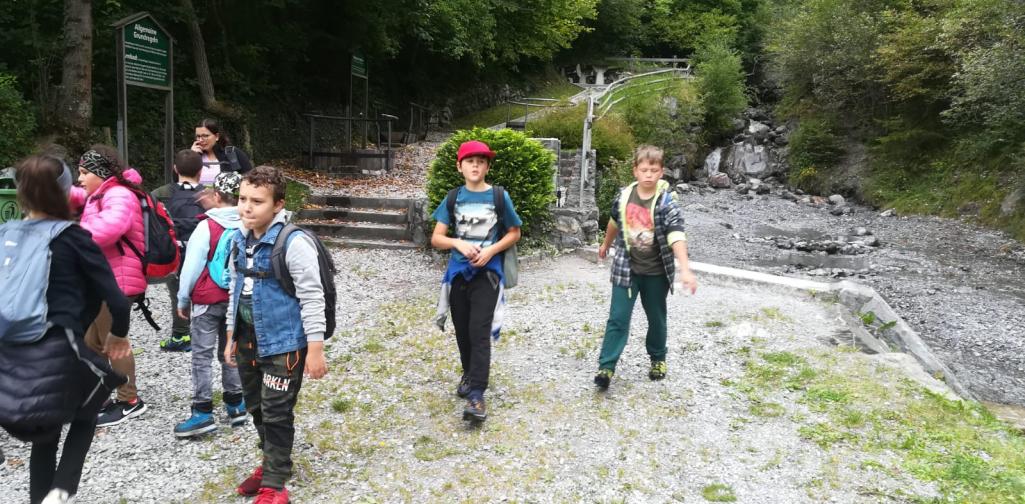 53f65fec-a78f-4316-b832-58f32c81b490