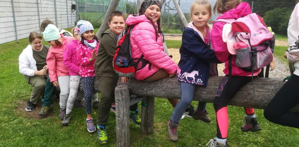 71236a1c-121b-491a-96bf-ce79ceec0e35