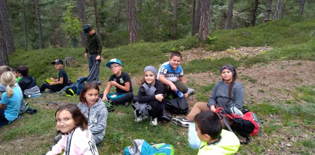 97c28e86-af8c-46c5-94d0-9b3e50e465b4