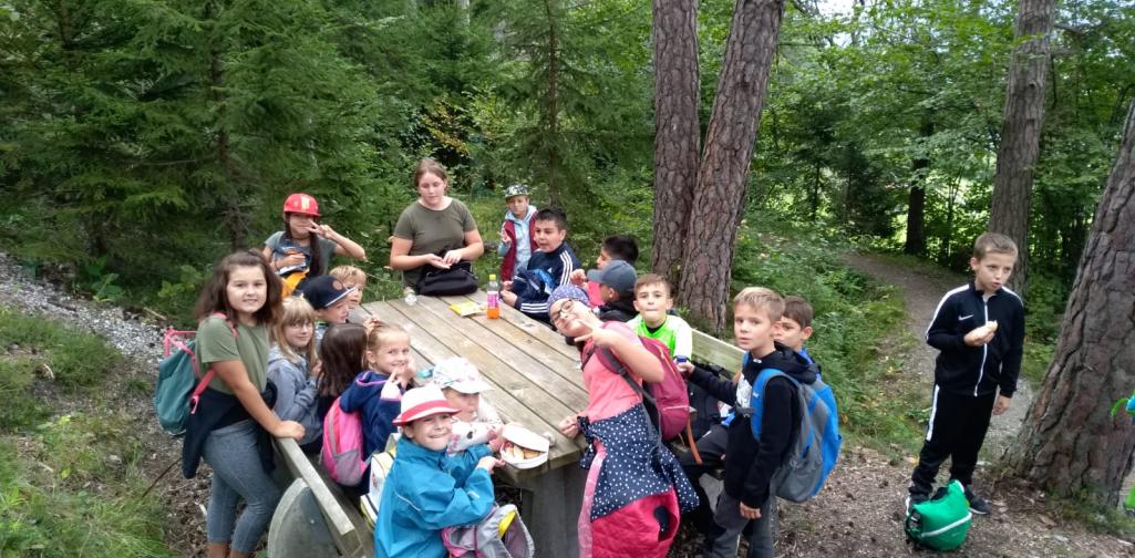 f989360e-a70b-4587-9252-c4a513816d4f