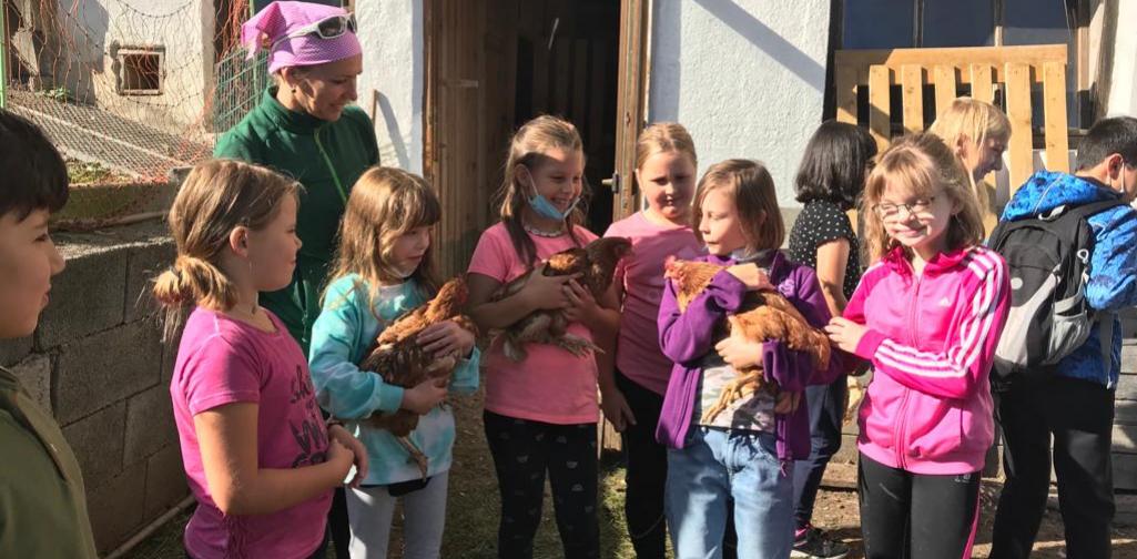 4477ce4b-4b33-4d84-b02f-fe9002ff9a41