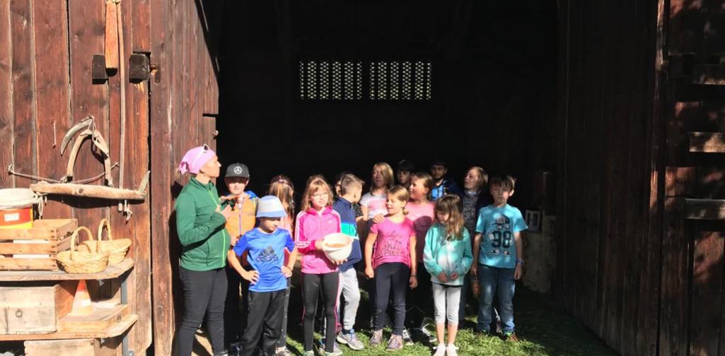 6379c9a5-94f2-4fa8-92b9-dd9777862542