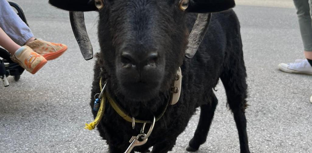 aa13127b-6d16-424e-86de-bd38e1796b69