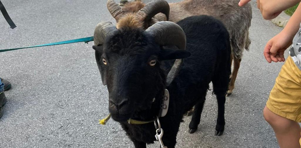 c19ac5ae-7698-4609-b1e9-c928e99f4ae1